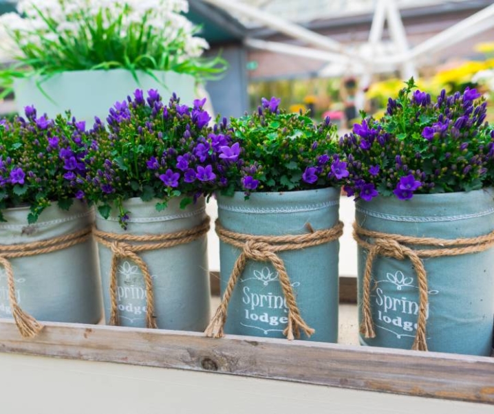 Osłonki na kwiaty, ceramiczne donice – zagospodaruj swój ogród roślinami