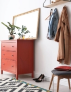 5 roślin, które sprawdzą się na nasłonecznionym balkonie – jak je uprawiać i na co zwrócić uwagę