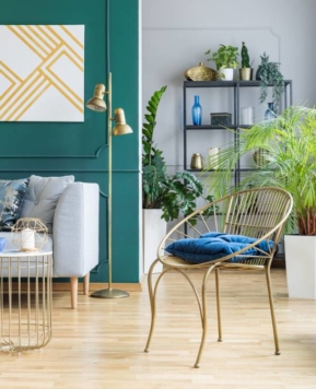 5 najlepszych roślin o właściwościach antystresowych i zdrowotnych do mieszkania