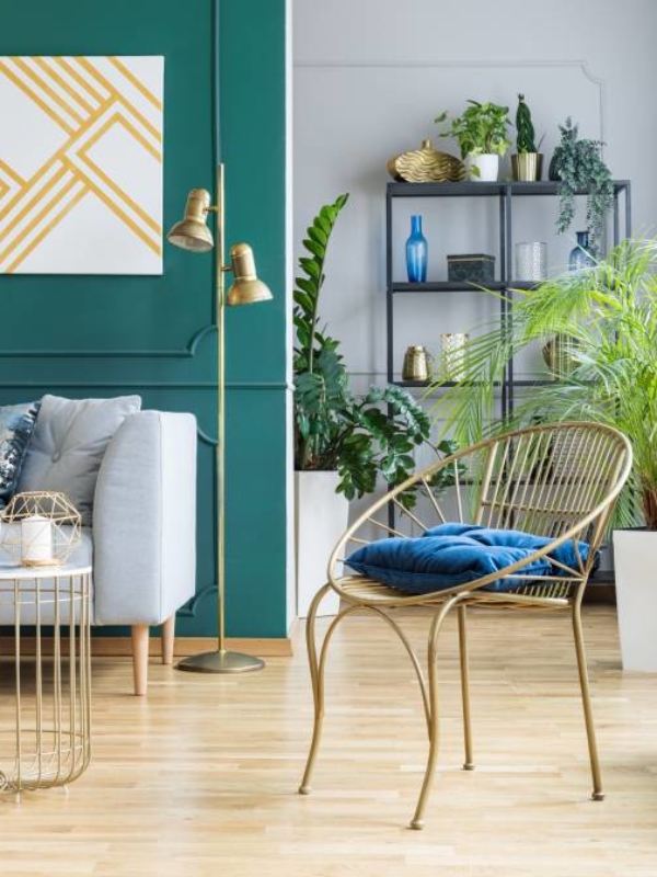 5 najlepszych roślin o właściwościach antystresowych i zdrowotnych do mieszkania