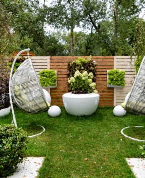 Rośliny, które trzeba posiać przed sezonem wiosennym