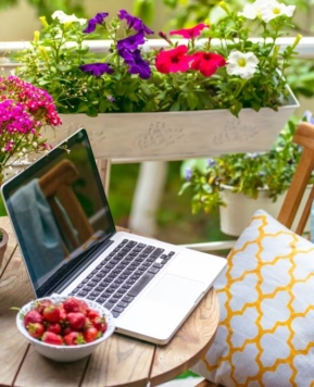 Najlepsze kwiaty na balkon i taras ‒ otocz się kobiecym fioletem