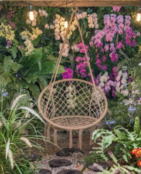 Rośliny pachnące w Twoim ogrodzie – zafunduj sobie naturalną aromaterapię