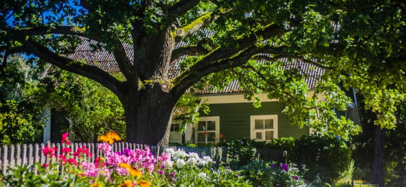 Najpopularniejsze style ogrodowe ‒ stwórz własny zielony zakątek