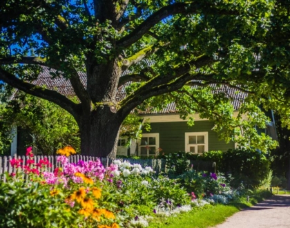 Najpopularniejsze style ogrodowe ‒ stwórz własny zielony zakątek