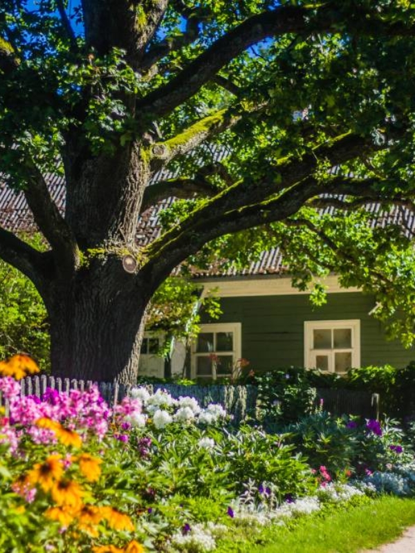 Najpopularniejsze style ogrodowe ‒ stwórz własny zielony zakątek