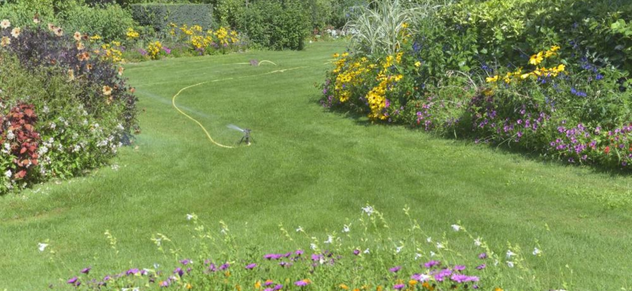 10 porad, jak pielęgnować ogród latem