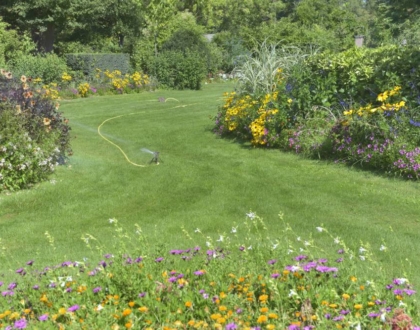 10 porad, jak pielęgnować ogród latem