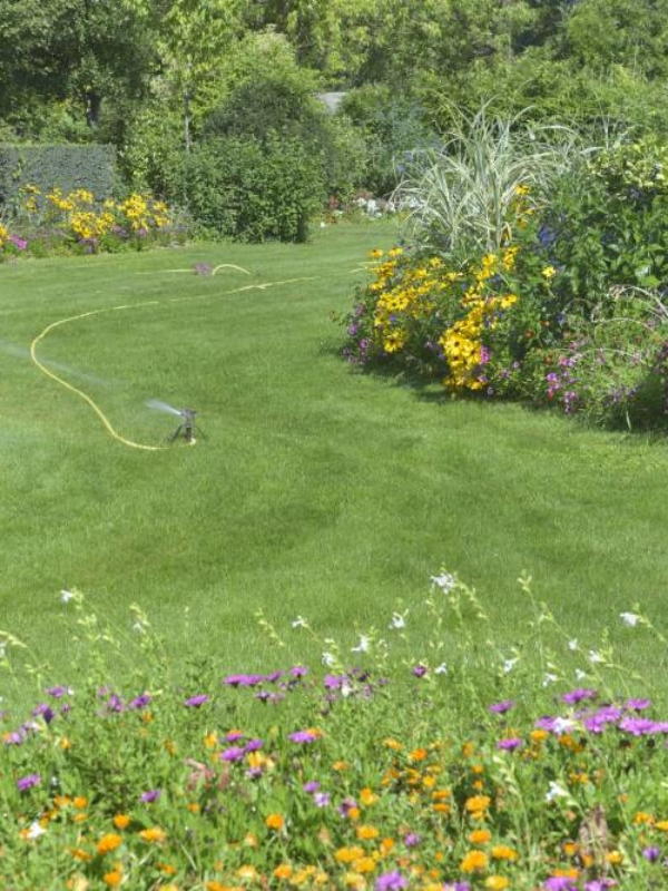 10 porad, jak pielęgnować ogród latem